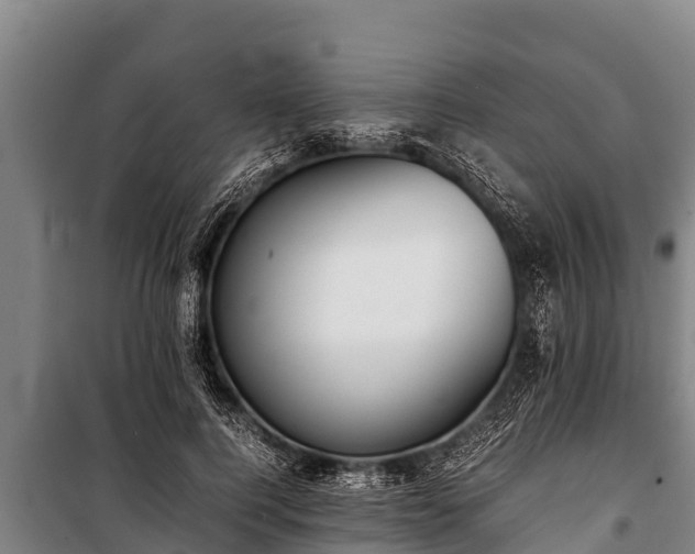 X0000100850744200806271135