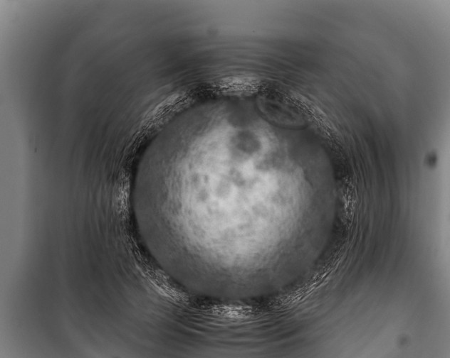 X0000100850745200806271135