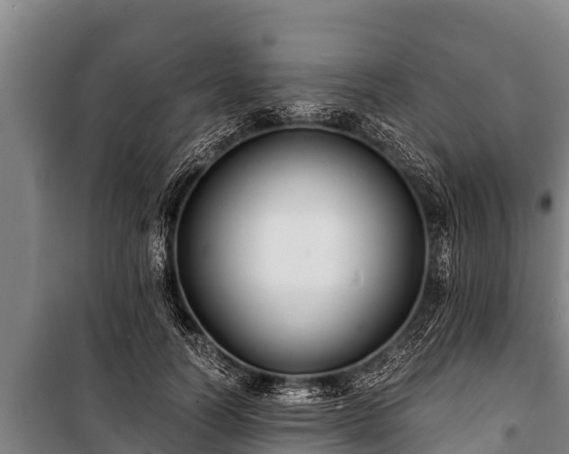 X0000100850746200806271135