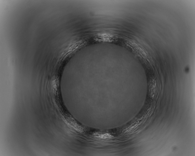 X0000100850747200806271135