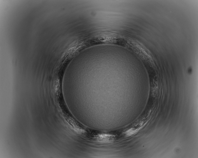 X0000100850748200806271135