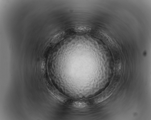 X0000100850749200806271135