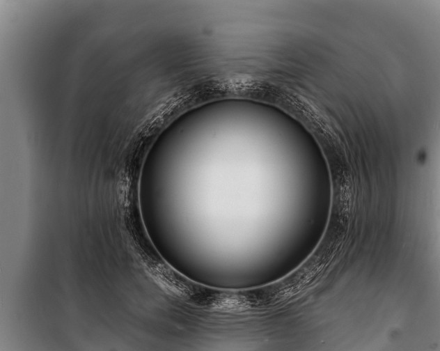 X0000100850750200806271135