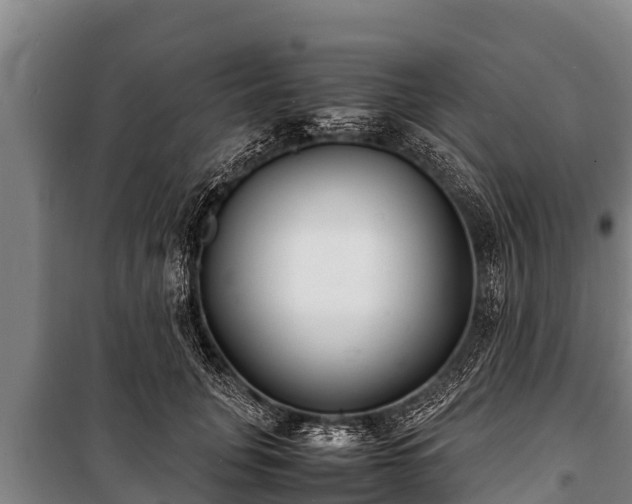 X0000100850751200806271135