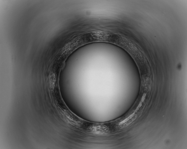 X0000100850752200806271135