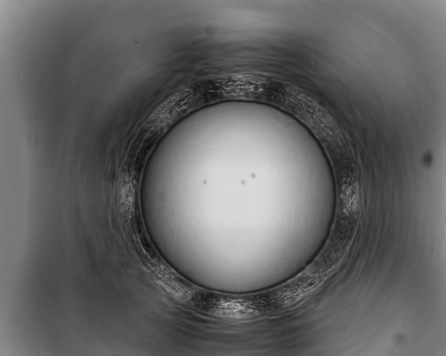 X0000100850753200806271135