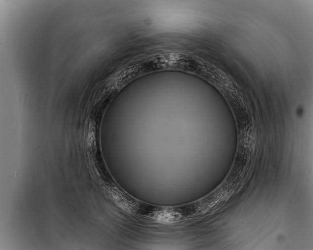 X0000100850754200806271135