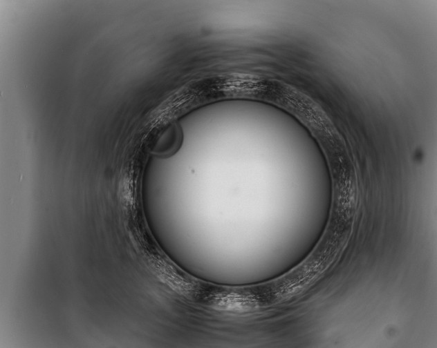 X0000100850755200806271135