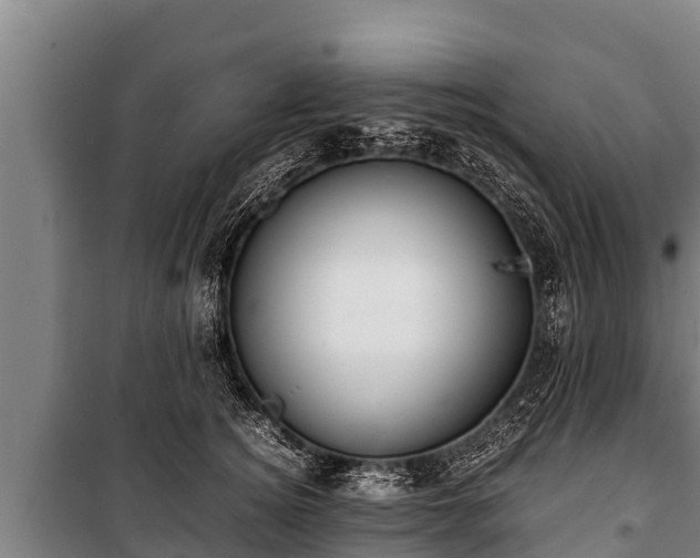 X0000100850756200806271135