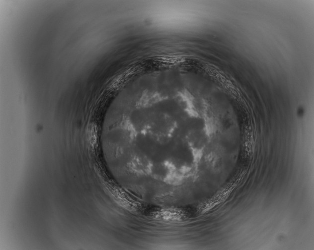 X0000100850758200806271135