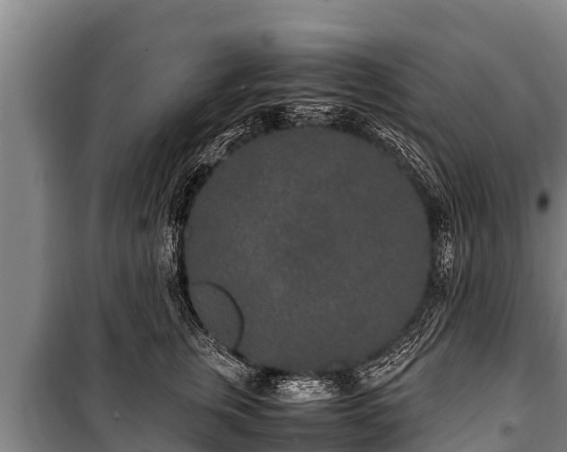 X0000100850759200806271135