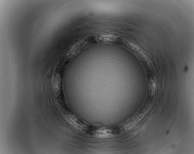 X0000100850760200806271135