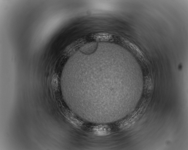 X0000100850761200806271135