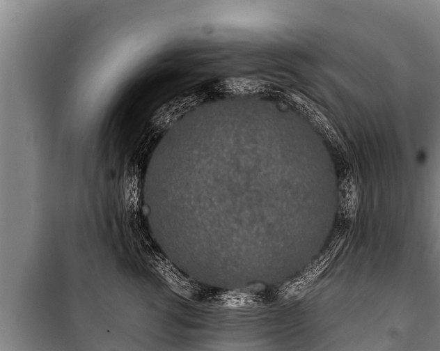 X0000100850762200806271135