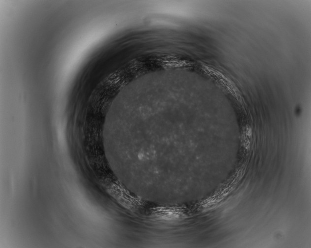 X0000100850763200806271135