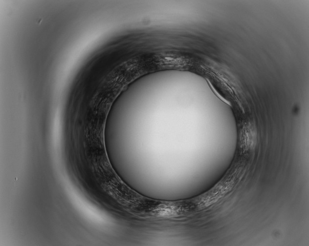 X0000100850764200806271135