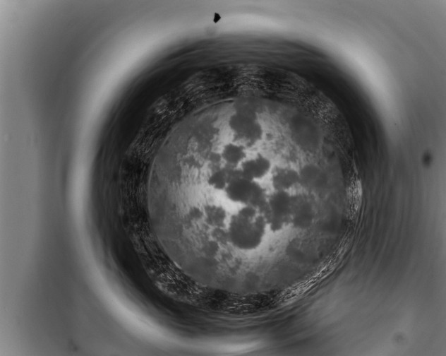 X0000100850765200806271135