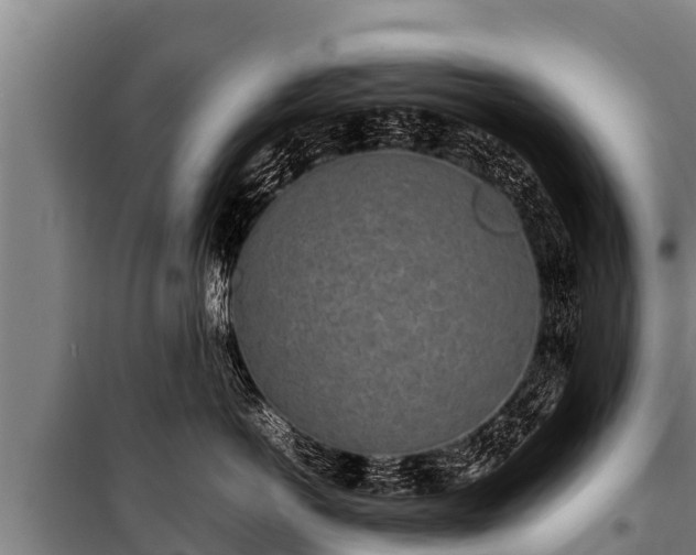 X0000100850766200806271135