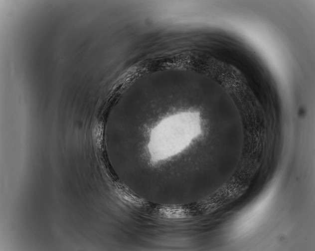 X0000100850767200806271135