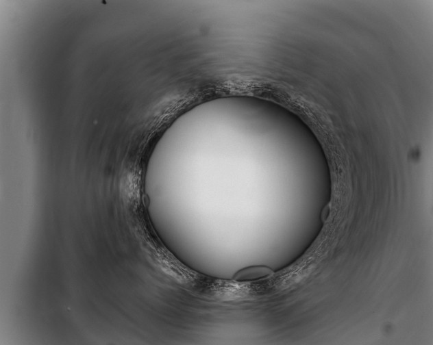 X0000100850768200806271135