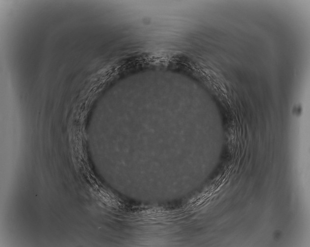 X0000100850769200806271135