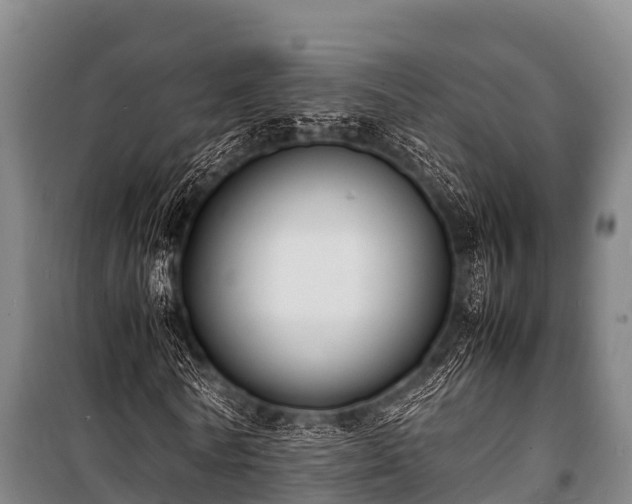 X0000100850770200806271135