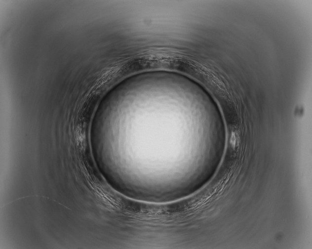 X0000100850771200806271135