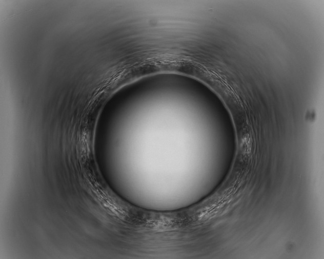 X0000100850772200806271135