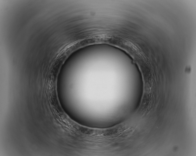 X0000100850773200806271135