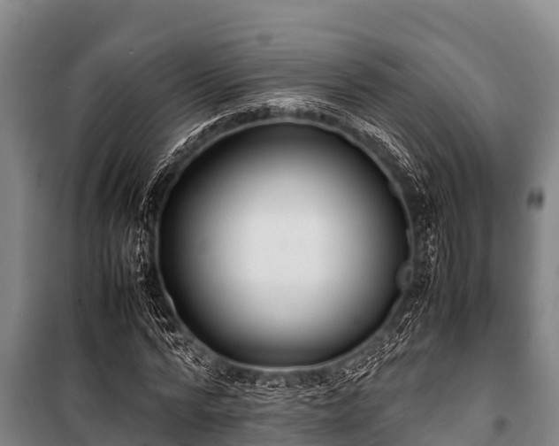 X0000100850776200806271135