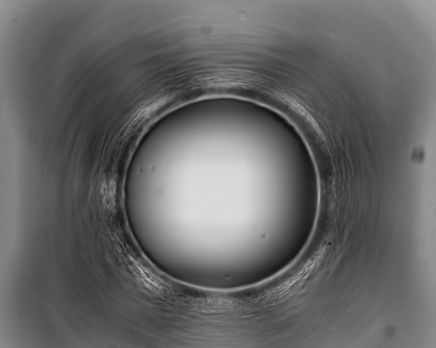 X0000100850777200806271135