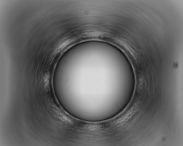 X0000100850778200806271135