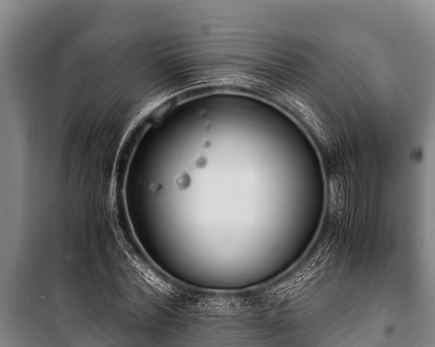 X0000100850780200806271135