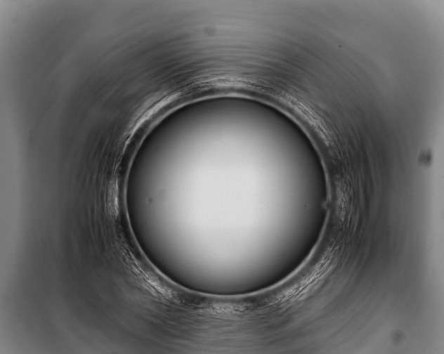 X0000100850782200806271135