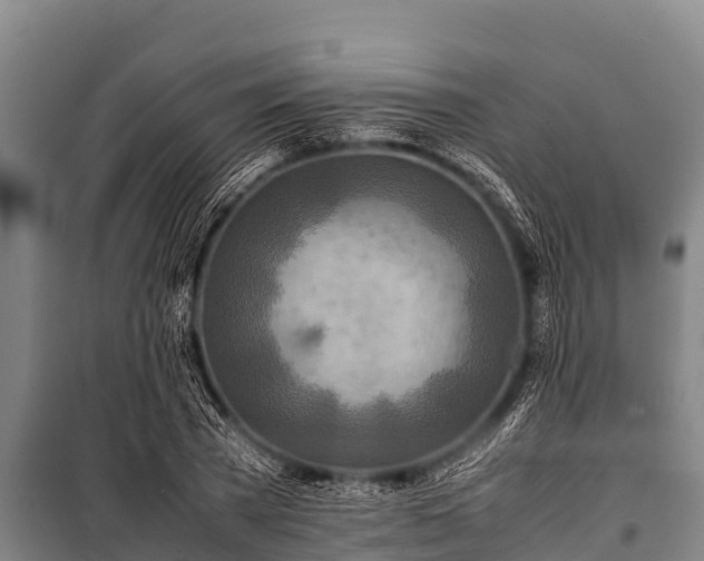 X0000100850785200806271134