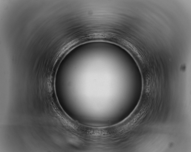 X0000100850786200806271134