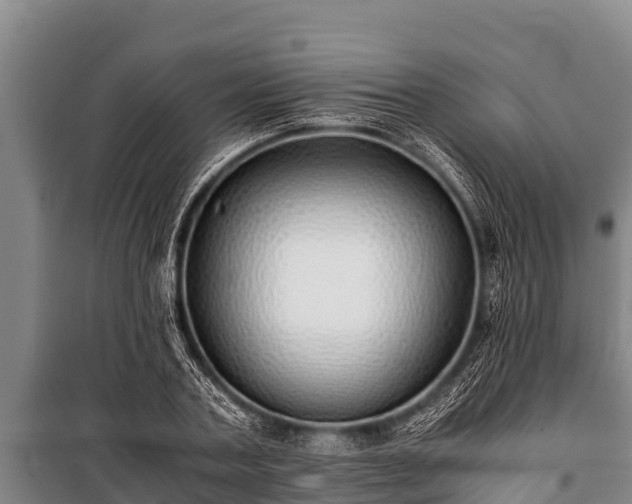 X0000100850787200806271134