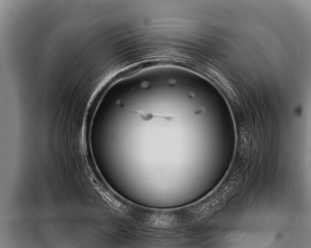 X0000100850788200806271134