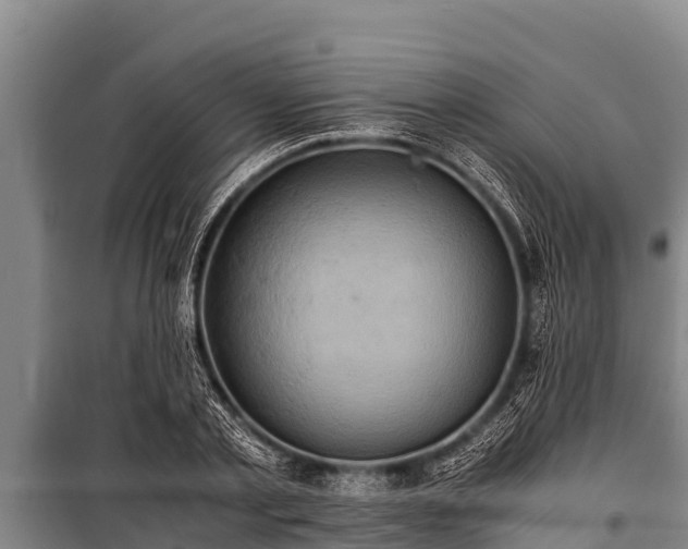 X0000100850789200806271134