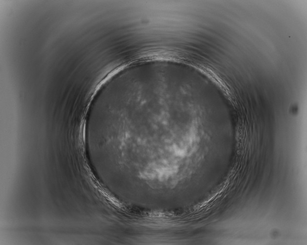 X0000100850790200806271134