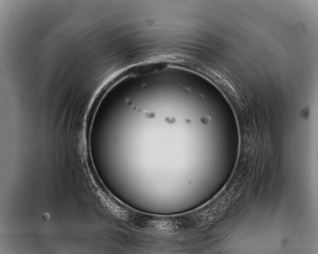 X0000100850792200806271134