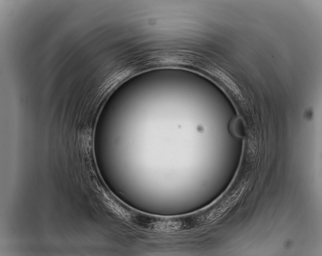 X0000100850793200806271134