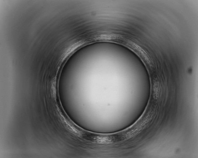 X0000100850794200806271134