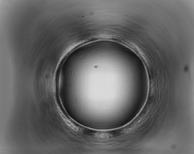 X0000100850795200806271134