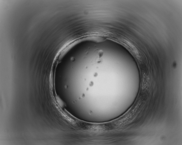 X0000100850796200806271134