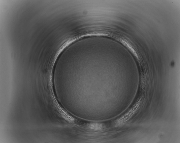 X0000100850797200806271134