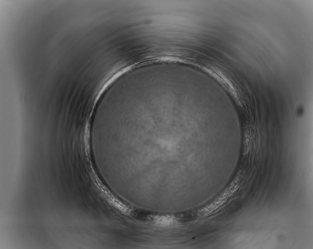 X0000100850798200806271134