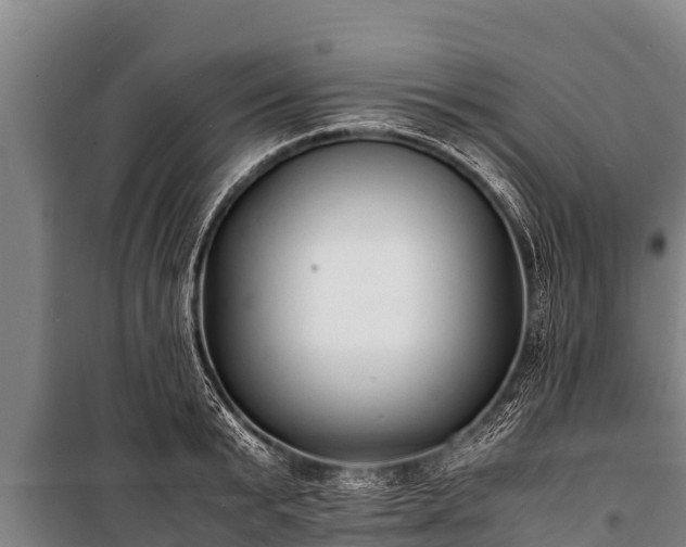 X0000100850799200806271134