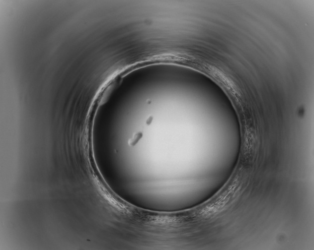 X0000100850800200806271134