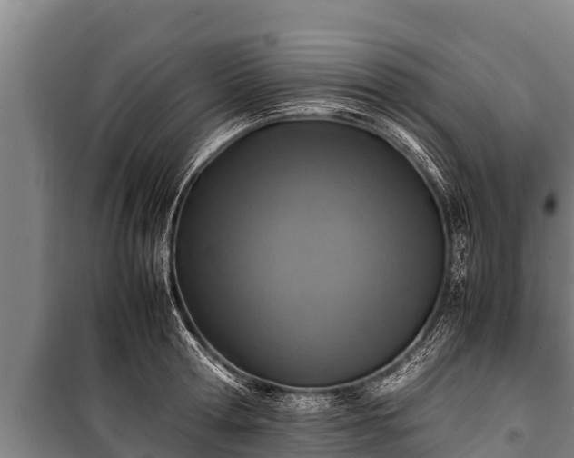 X0000100850802200806271134